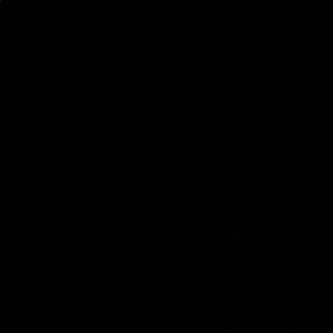 Meet your Posher, Cynthia